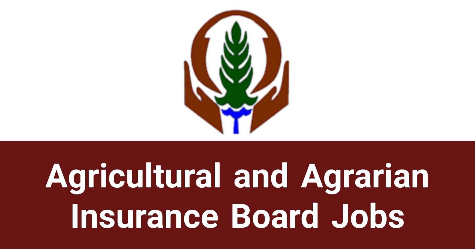 Agricultural and Agrarian Insurance Board Jobs Vacancies Applications