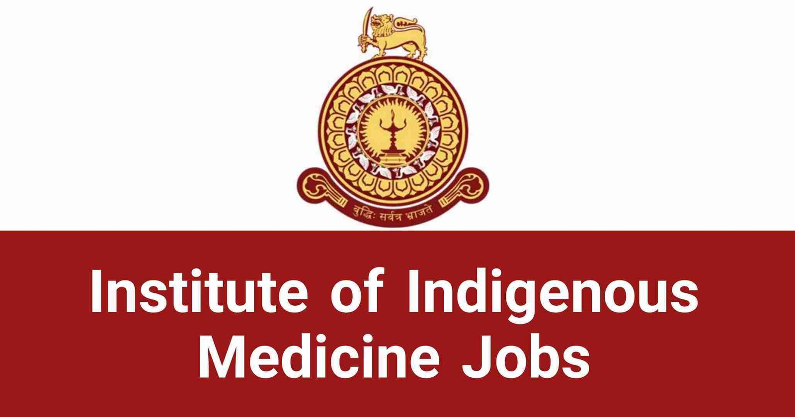 Institute of Indigenous Medicine Jobs Vacancies