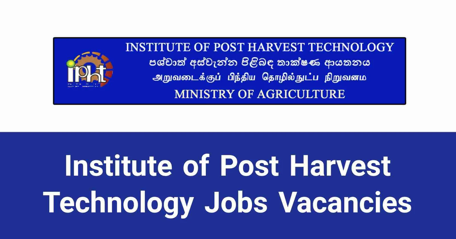 Institute of Post Harvest Technology Jobs Vacancies