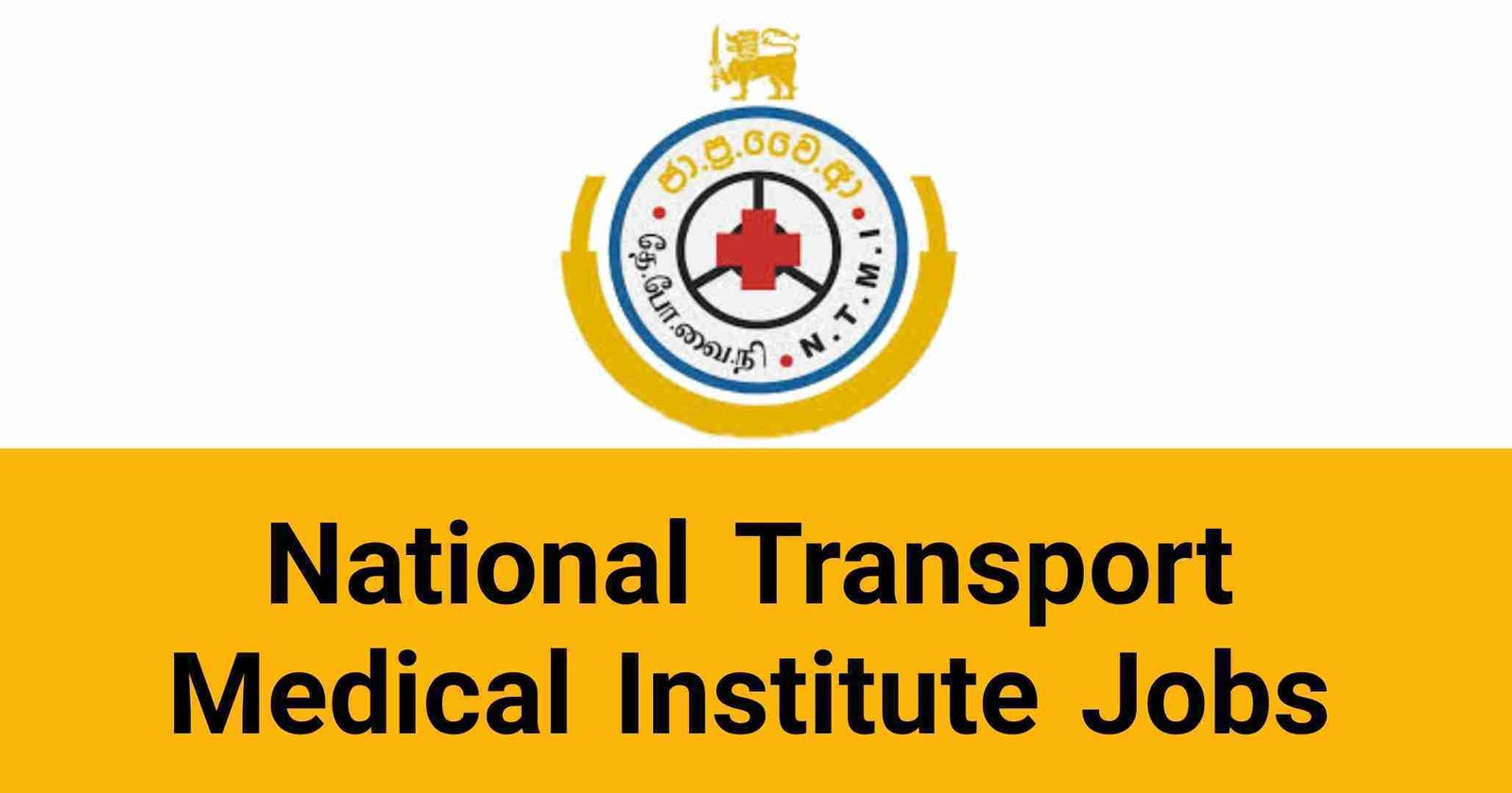 National Transport Medical Institute Jobs Vacancies