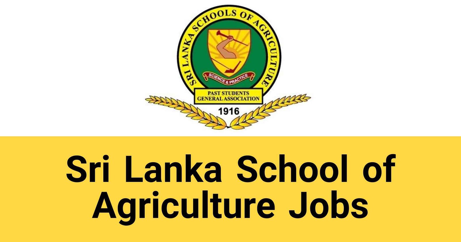 Sri Lanka School of Agriculture Jobs Vacancies Careers