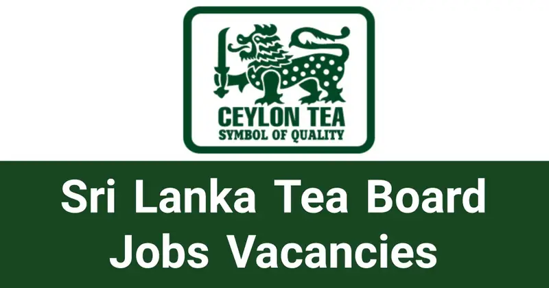 Sri Lanka Tea Board Jobs Vacancies Careers