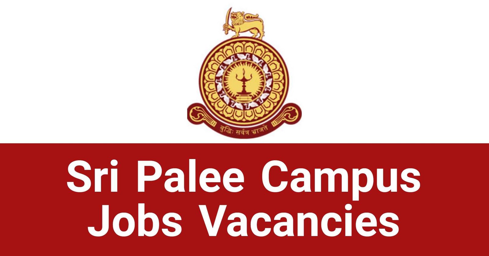 Sri Palee Campus Jobs Vacancies Careers