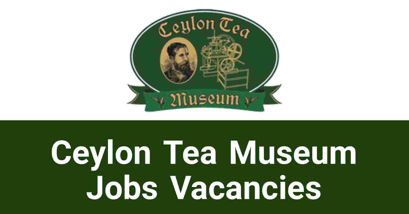 Ceylon Tea Museum Jobs Vacancies