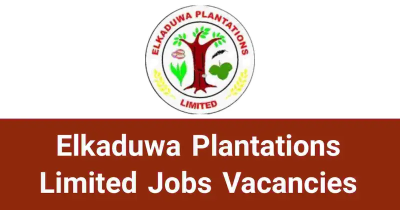 Elkaduwa Plantations Limited Jobs Vacancies