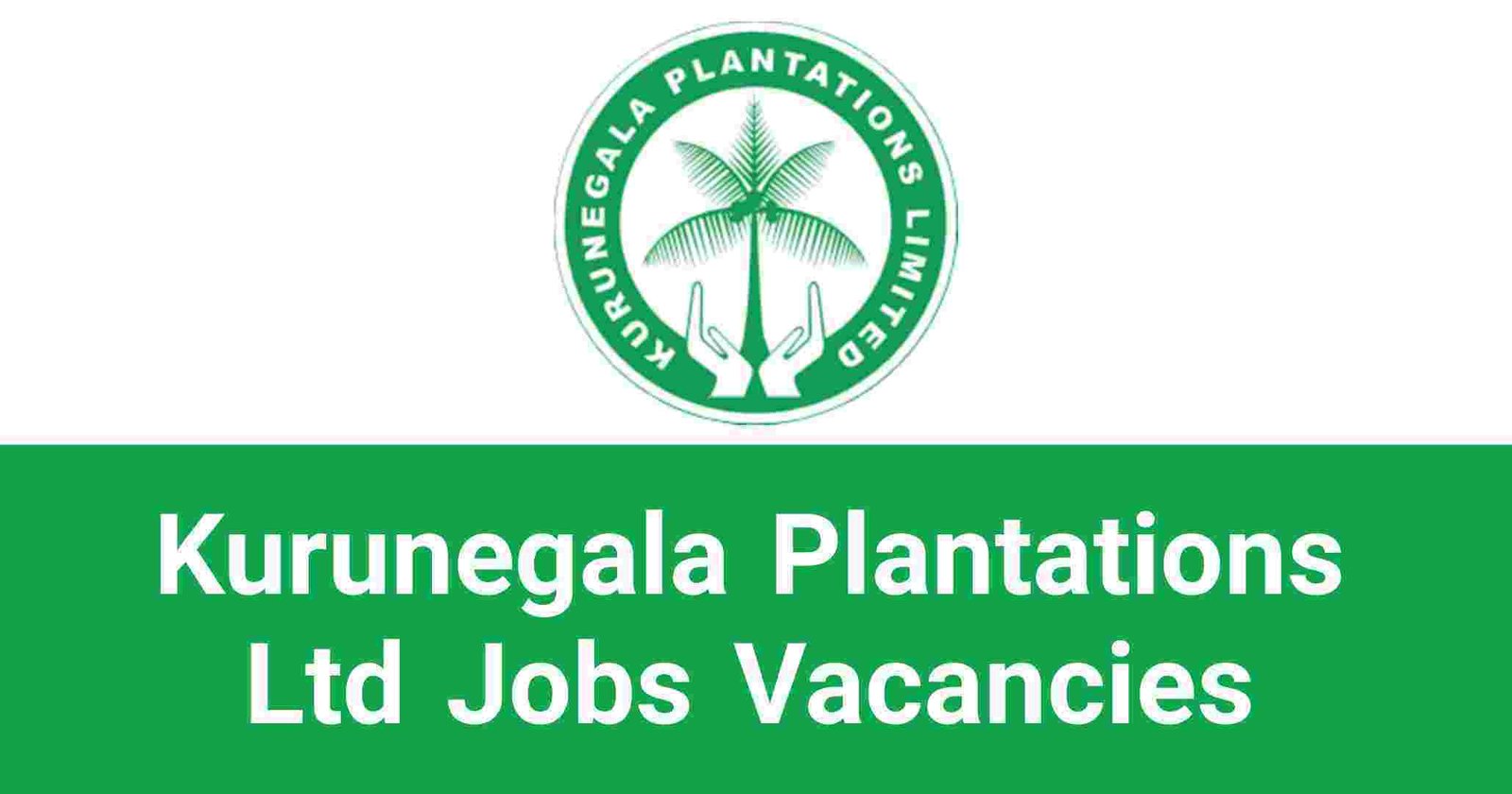 Kurunegala Plantations Ltd Jobs Vacancies