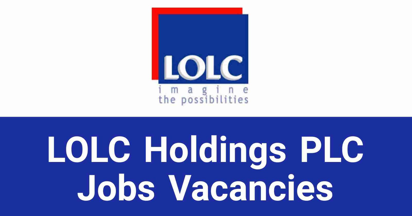 LOLC Holdings PLC Jobs Vacancies