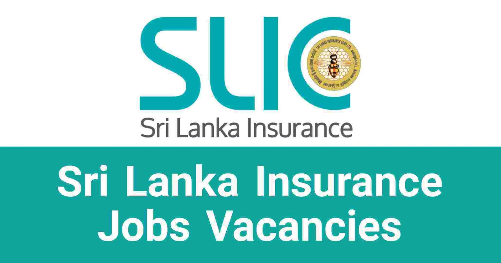 Sri Lanka Insurance Jobs Vacancies