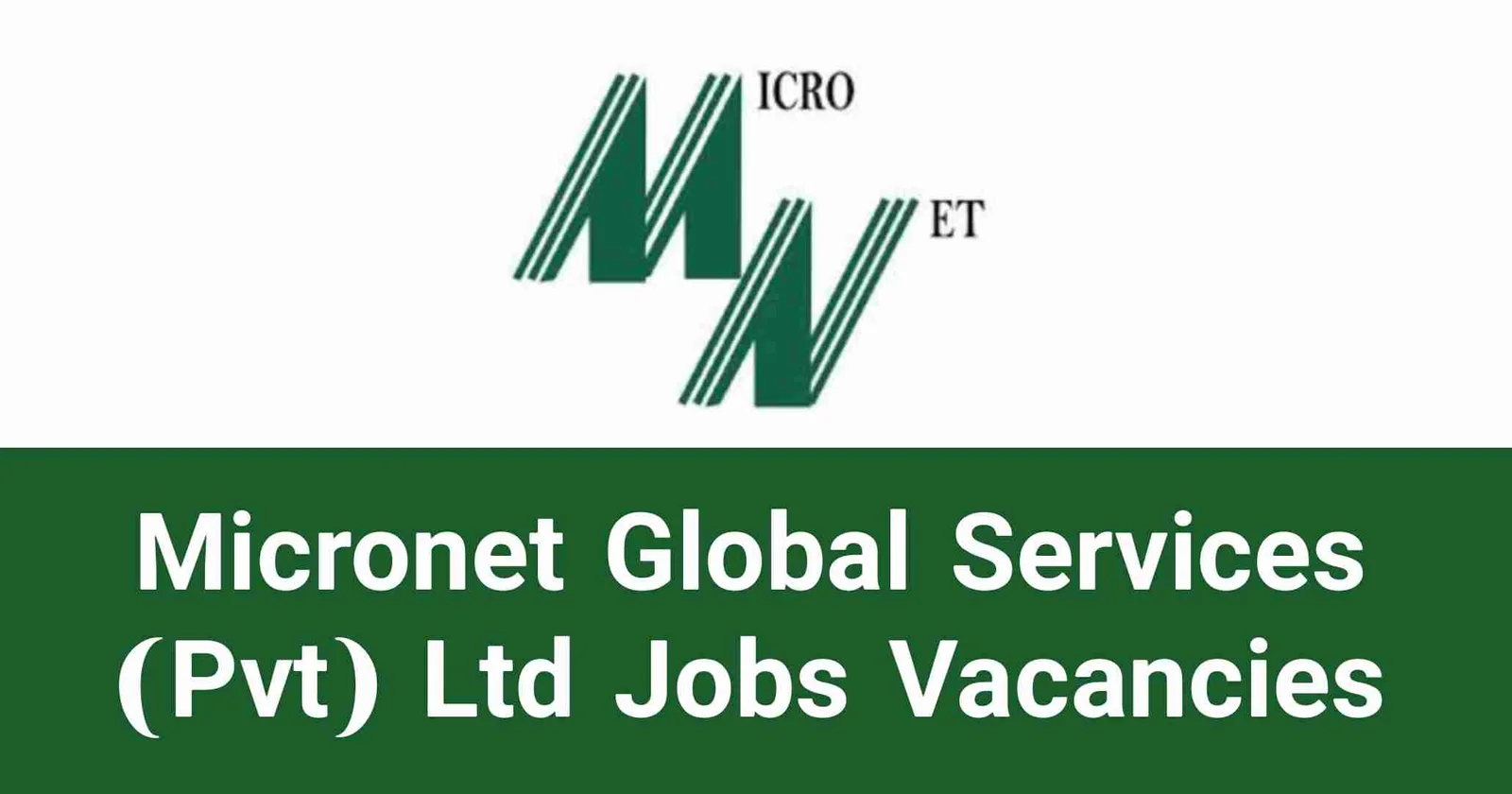 Micronet Global Services (Pvt) Ltd Jobs Vacancies