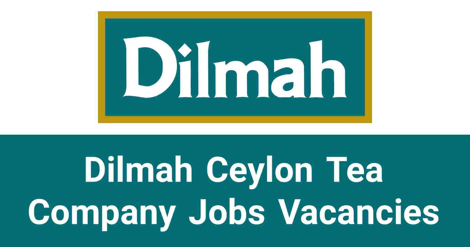 Dilmah Ceylon Tea Company PLC Jobs Vacancies