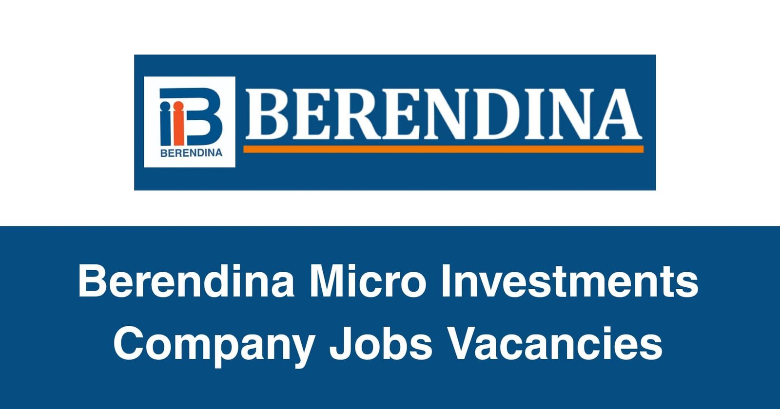 Berendina Micro Investments Company Jobs Vacancies