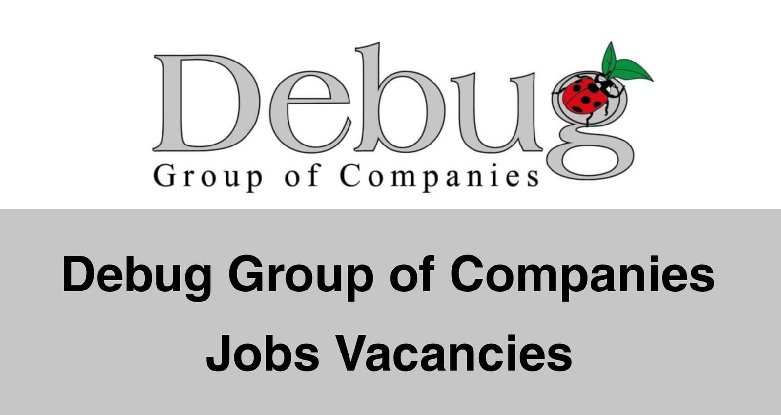 Debug Group of Companies Jobs Vacancies