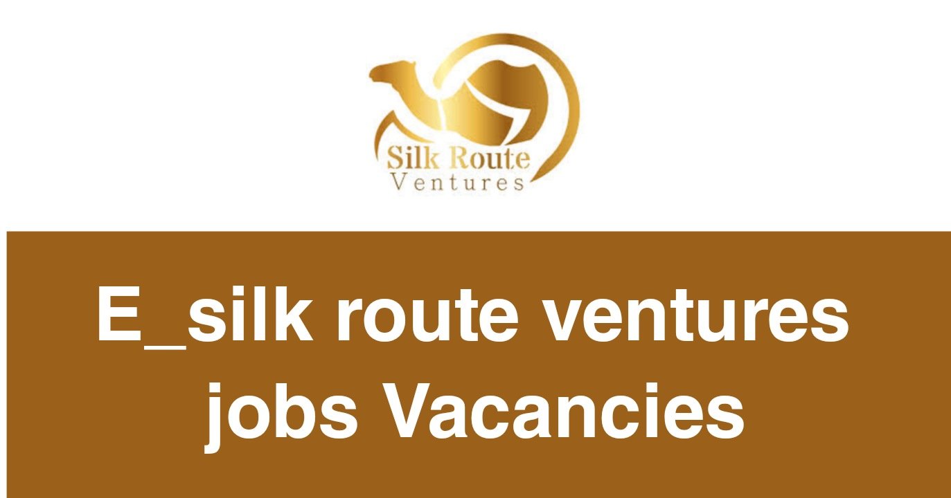 E-Silk Route Ventures Jobs Vacancies