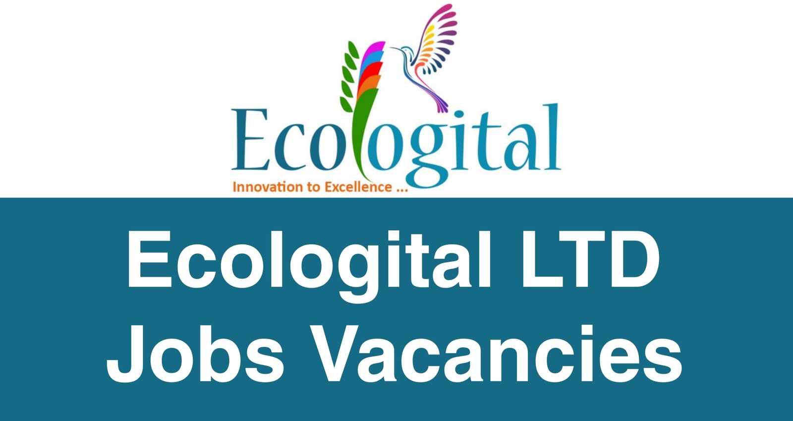 Ecologital Jobs Vacancies