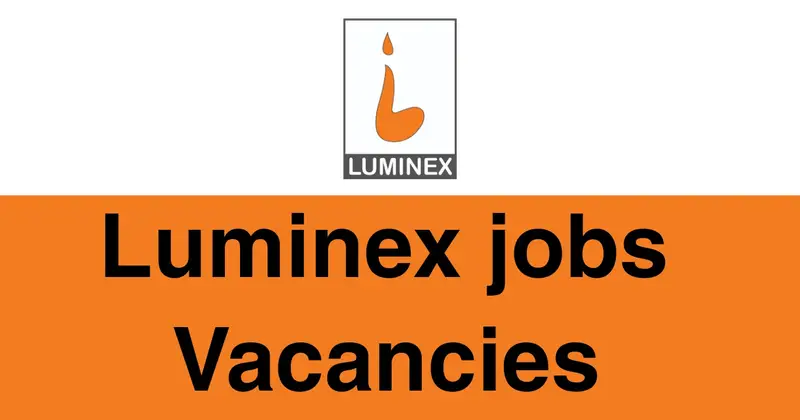 Luminex Jobs Vacancies