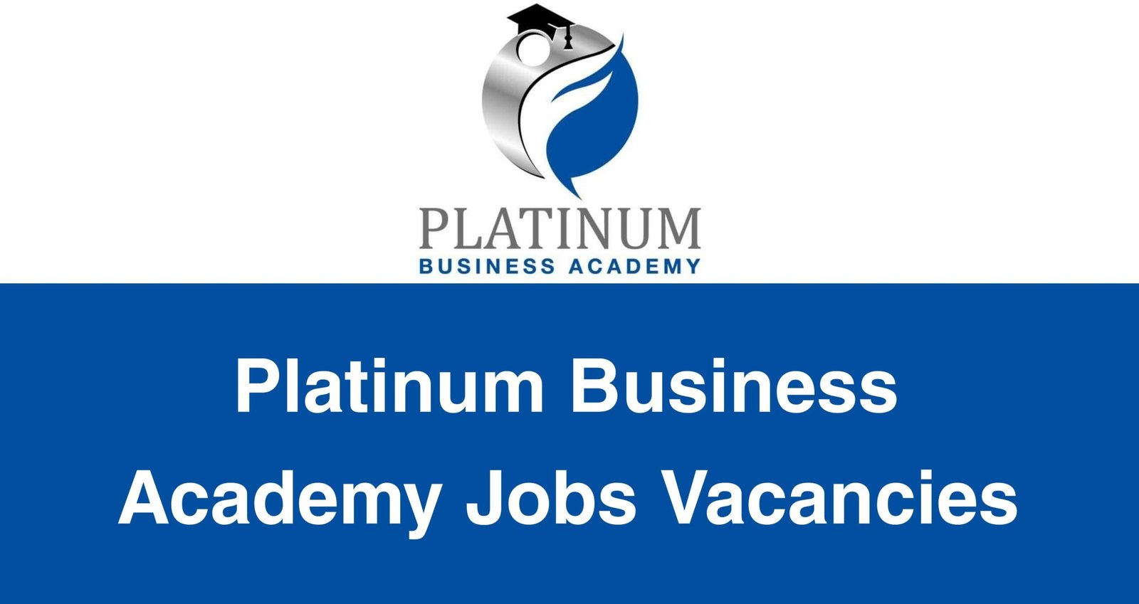 Platinum Business Academy Jobs Vacancies