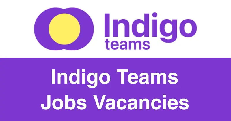 Indigo Teams Jobs Vacancies