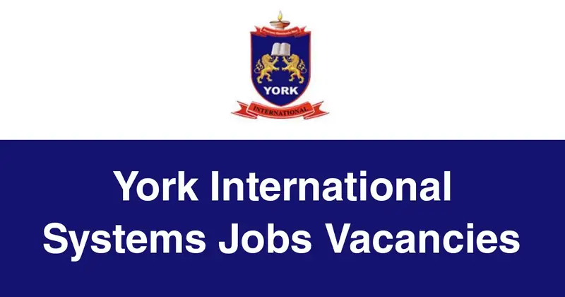 York International Systems Jobs Vacancies