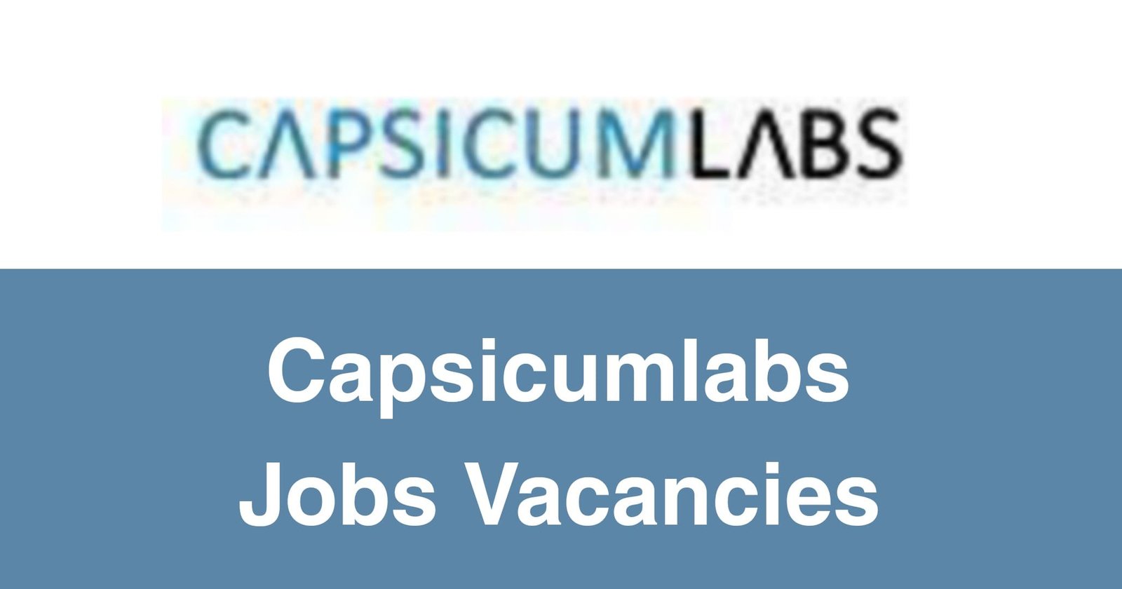 Capsicumlabs Jobs Vacancies