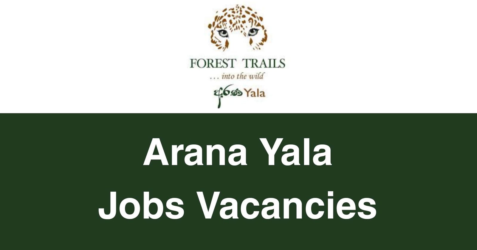 Arana Yala Jobs Vacancies