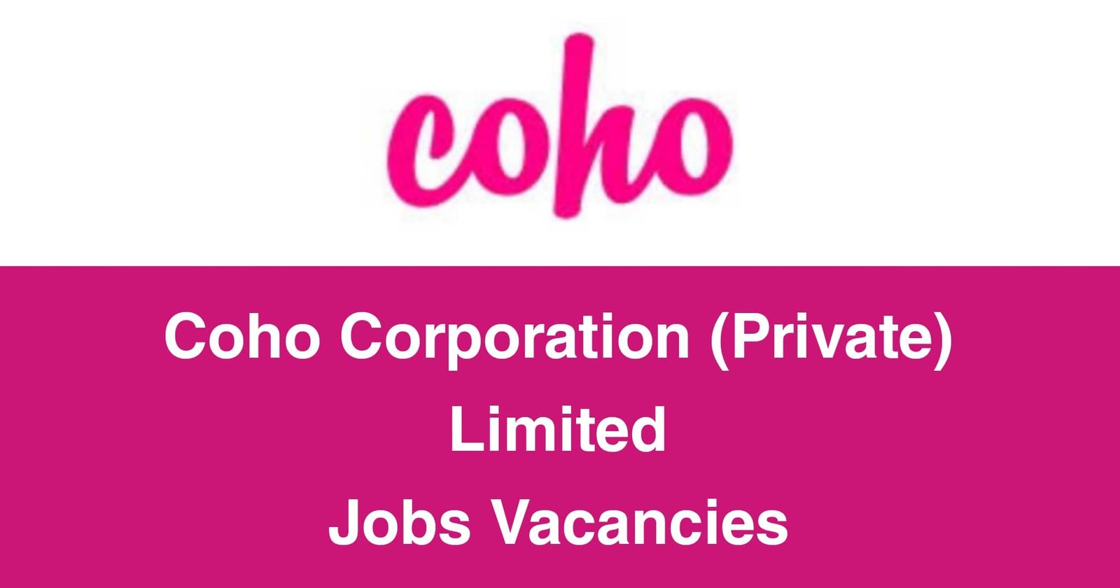 Coho Corporation (Private) Limited Jobs Vacancies