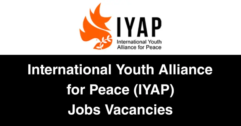 International Youth Alliance for Peace (IYAP) Jobs Vacancies