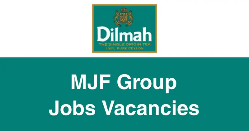MJF Group Jobs Vacancies