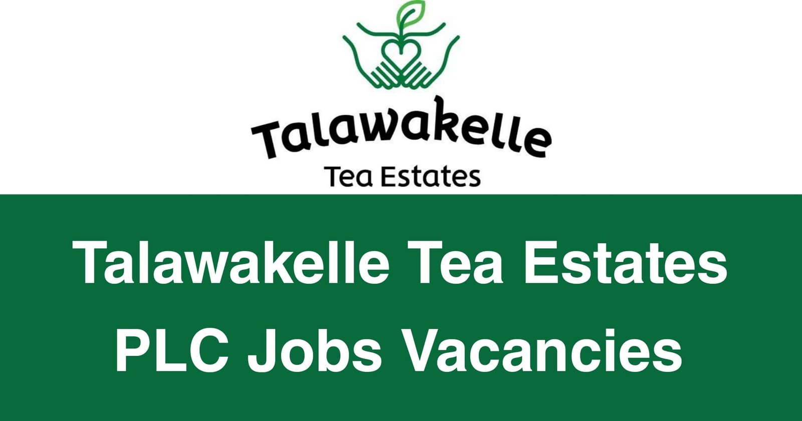 Talawakelle Tea Estates PLC Jobs Vacancies
