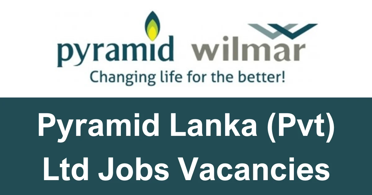 Pyramid Lanka (Pvt) Ltd Jobs Vacancies